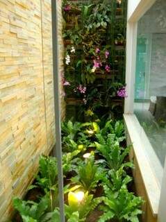 Corredor lateral de casa foi integrado a banheiro e plantas ali resistem à umidade. (Foto: Califórnia Mudas)