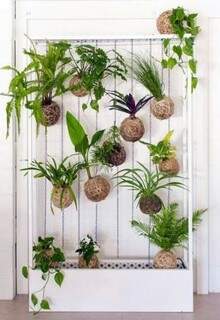 A escolha das plantas é individual, até kokedamas entram na combinação (Foto: Reprodução Pinteres)