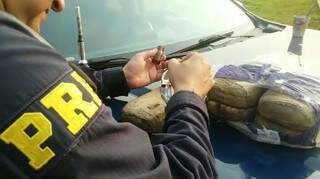 Teste da Polícia Rodoviária Federal indicou cocaína nas amostras (Foto: divulgação/PRF)