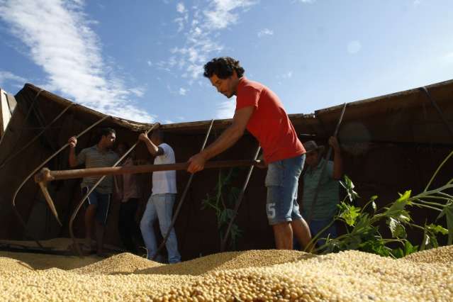 Bitrem tomba na BR-163, despeja 37 toneladas de soja e tr&aacute;fego &eacute; desviado