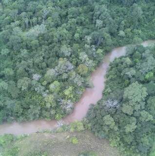 PMA usou levantamento aéreo para identificar crime ambiental (Foto: Divulgação)