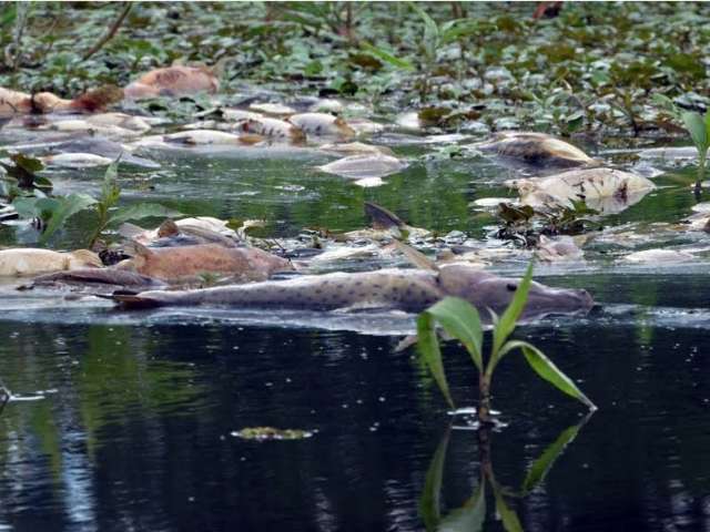 MP abre inqu&eacute;rito para investigar se h&aacute; rejeitos de min&eacute;rio em barragem