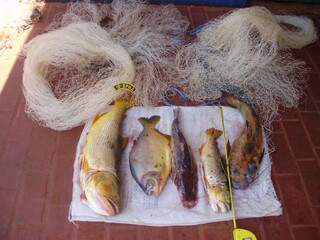 Peixes e petrechos foram abandonados por pescadores. (Foto: Divulgação)
