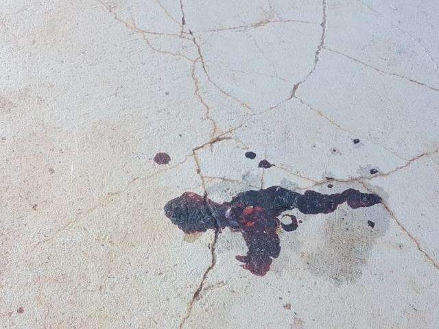 Seguran&ccedil;a e ladr&atilde;o trocam tiros e mulher &eacute; baleada no Taveir&oacute;polis 