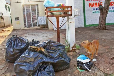 Lixo se espalha e transforma cenário da Capital no segundo dia de greve