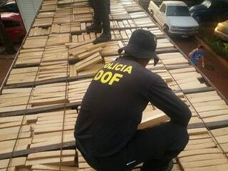 Policiais encontraram tabletes de maconha e pasta-base em compartimento secreto no teto de caminhão-baú (Foto: Divulgação/DOF)