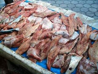 No total foram 1.085 quilos de peixes apreendidos. (Foto: divulgação/Polícia)