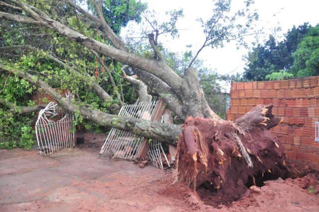 Chuva tem ventos de at&eacute; 70 km/h em Campo Grande
