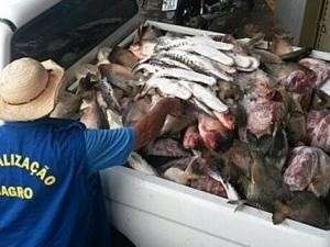 Mais de 600 kg de produtos impr&oacute;prios para consumo s&atilde;o apreendidos