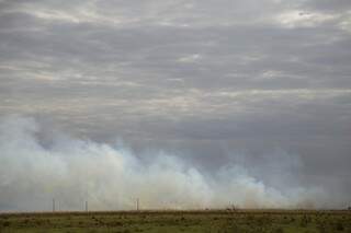 Incêndio em área próxima ao aeroporto foi registrado na semana passada e ontem também.  (Foto: Fernandes Antunes) 