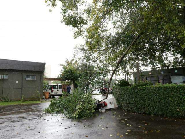 Entregador &eacute; atingido por galho durante a chuva e quebra tornozelo