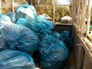 Ao todo, 10 sacos de lixo foram retirados do rio e também do córrego. (Foto: Bonito Informa)