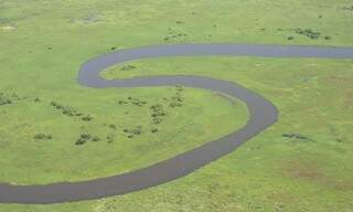 Sinuosidade do rio no alto Pantanal, no passado, projeto megalomaníaco previa corte em seus estreitos para favorecer a navegação