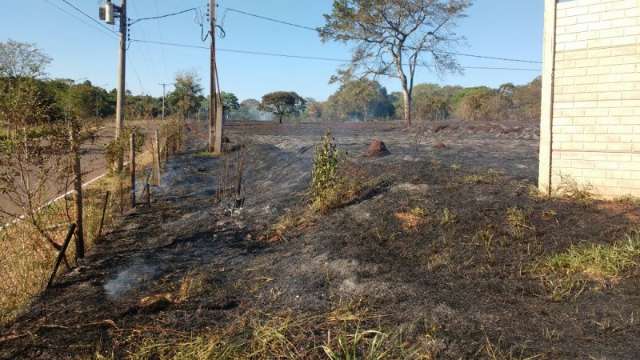 Sem ajuda dos bombeiros, empregados e dono de f&aacute;brica controlam queimada