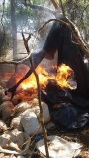 Acampamento e parte da droga sendo incinerada. (Foto: Porã News) 