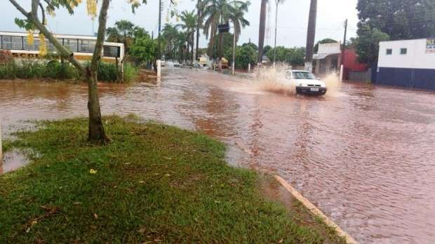 Jacar&eacute; aparece passeando no Centro de Bataypor&atilde; depois de temporal