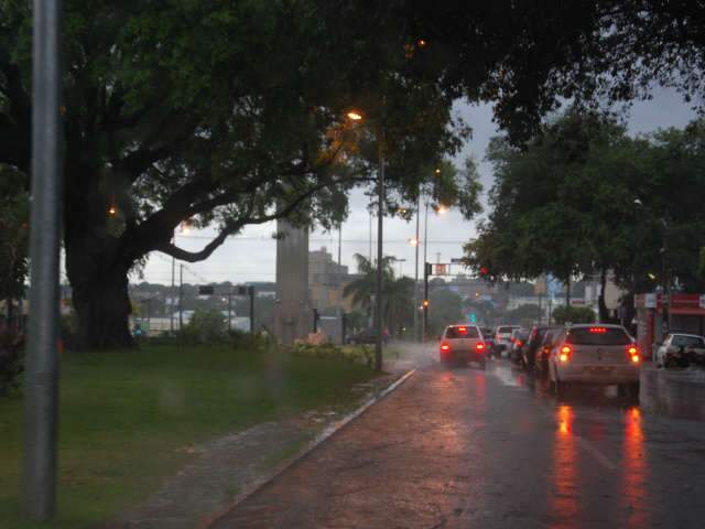  Chuva r&aacute;pida e forte provoca queda de &aacute;rvore e temperatura
