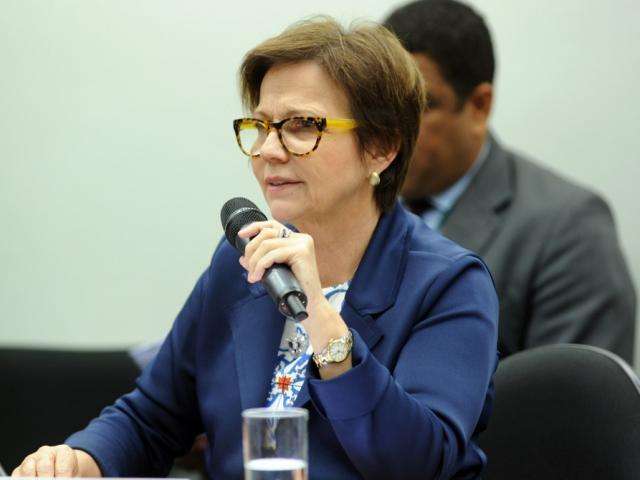 Deputada federal de MS prop&otilde;e anistia a d&iacute;vida de produtores rurais
