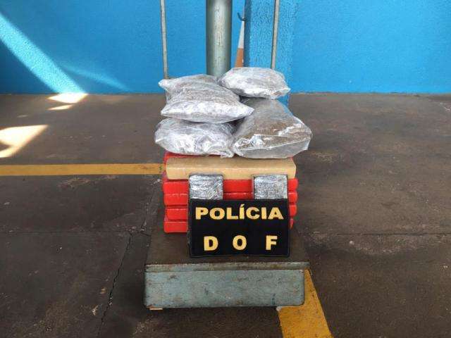 Jovens s&atilde;o presos em &ocirc;nibus com 26 quilos de maconha e skank na bagagem 