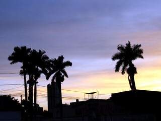 Céu de Campo Grande nas primeiras horas do dia (Foto: Saul Schramm)