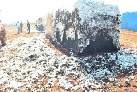  Polícia investiga incendio em 4 fardos de algodão em Chapadão do Sul 