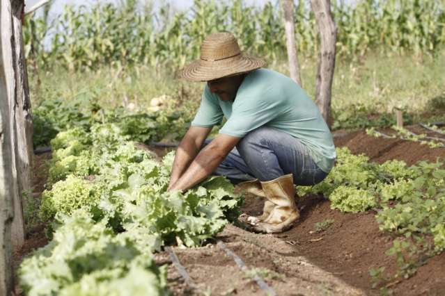 Governo d&aacute; desconto de 70% para agricultor quitar d&iacute;vida de cr&eacute;dito