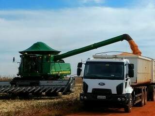 Capacidade de armazéns é de 8 milhões de toneladas e apenas a produção de milho nesta safra,
será de 9,2 milhões. (Foto: Aprosoja/ Divulgação)