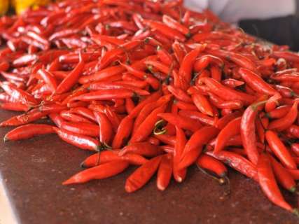 Chef começa por índias do Mercadão pesquisa para catalogar pimentas das Américas