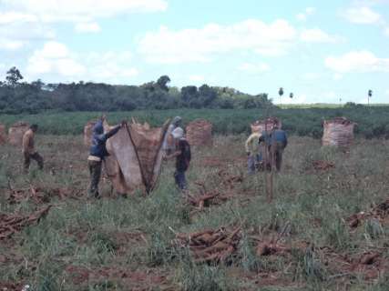 Grupo de 34 paraguaios é libertado de escravidão em Itaquiraí
