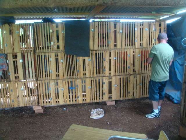 Pol&iacute;cia flagra rinha de galos e multa dono de assentamento em R$ 20 mil