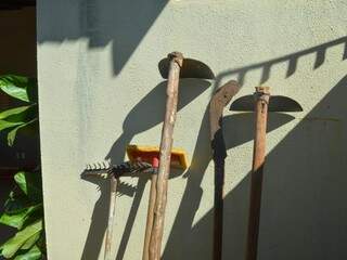 Rastelos, enxadas e foice são utilizados por Olímpia na limpeza do quintal (Foto: Simão Nogueira)