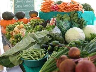 Alimentos orgânicos comercializados em Campo Grande. (Foto: Marcos Ermínio/Arquivo)