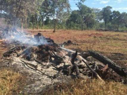 Proprietário rural é multado em R$ 12,3 mil por incêndio de vegetação nativa
