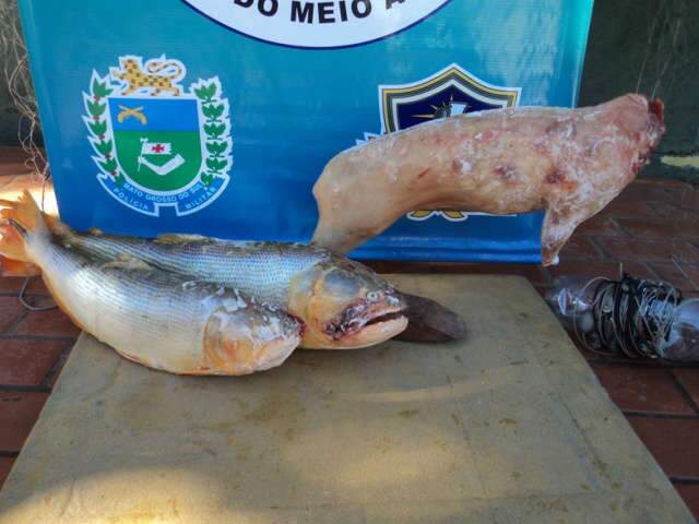  PMA prende dois homens por ca&ccedil;a e pesca ilegal em Pedro Gomes