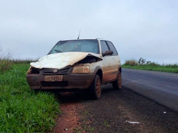 Motorista atropela boi na MS-276 e perde controle do ve&iacute;culo