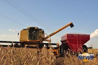 Redução de 8% na de produção custará R$ 300 milhões ao produtores de soja (Foto: Arquivo)