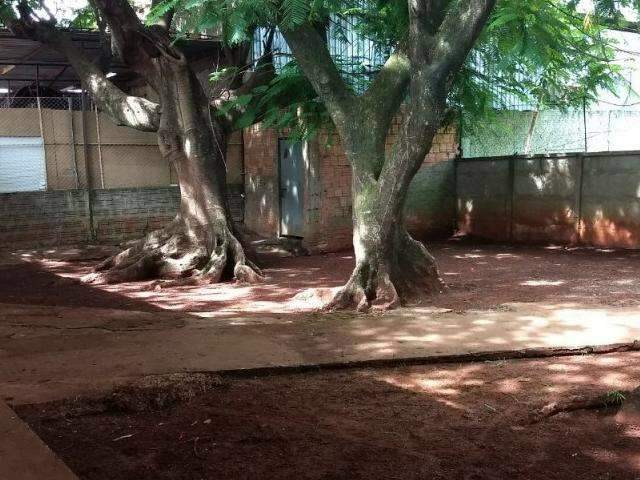 Ap&oacute;s den&uacute;ncia, entulhos e sujeira s&atilde;o retirados do fundo de creche da Santa Casa