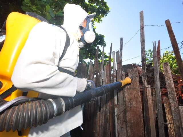 A&ccedil;&atilde;o volunt&aacute;ria combate dengue em casa cheia de lixo e com 18 c&atilde;es