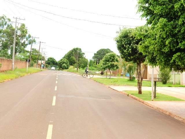 &Aacute;rvores  encobrem placas de sinaliza&ccedil;&atilde;o no S&atilde;o Francisco