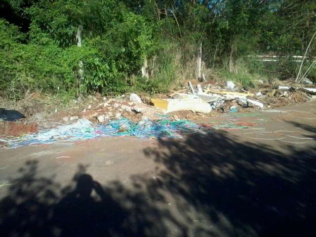 Moradores jogam lixo em avenida que foi limpa recentemente, denuncia leitor