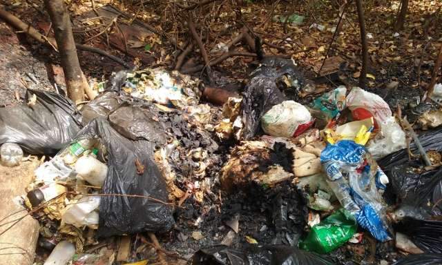 Leitor denuncia descarte irregular de lixo em prolongamento de avenida