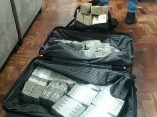 Polícia encontrou US$ 2 milhões nos endereços investigados na Operação Alba Vírus (Divulgação/PF)