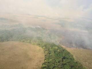 Incêndio já destruiu pelo menos 20 mil hectares (Foto: Imasul)