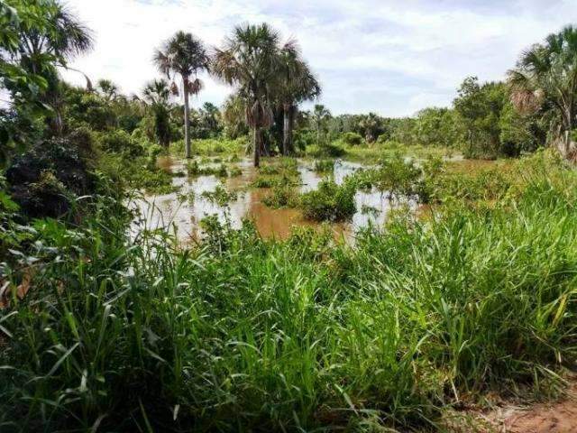 C&oacute;rrego do Palmito transborda e interrompe tr&aacute;fego em estrada vicinal  