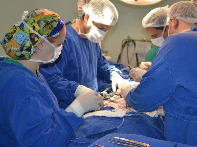 &ldquo;Cirurgia sem intercorr&ecirc;ncias&rdquo;, diz m&eacute;dica sobre transplante entre irm&atilde;os 
