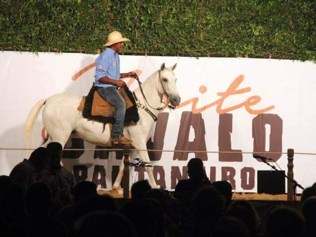 Feapan chega ao fim com lance de at&eacute; R$ 30 mil para cavalo de ra&ccedil;a