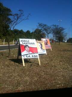 Placas de candidatos foram colocadas no canteiro central da avenida Euller de Azevedo (Foto: Repórter News)