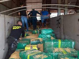 Droga estava escondida em meio a carga de milho (Foto: Adilson Domingos)