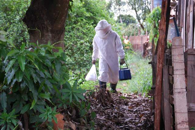  Trabalhadores e crian&ccedil;as s&atilde;o atacados por abelhas no Jardim Itamarac&aacute;