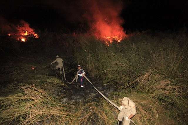 Inc&ecirc;ndio de grande propor&ccedil;&atilde;o destr&oacute;i vegeta&ccedil;&atilde;o na BR-163